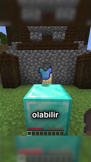 Never do this in Minecraft!! ⛏💎