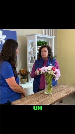 Keep Anemones Fresh: Tips for Longer Lasting Windflowers! #shorts