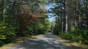 8.3K views · 388 reactions | Watch now and #ShopSmall on Nov 29th. Every day across America small businesses are there for our communities, our families, and us. They aren’t just businesses—they’re our neighborhoods. Will you be there for them on Small Business Saturday? | Shop Small | Facebook