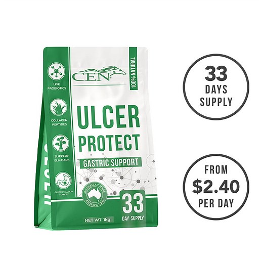 Ulcer Supplement For Horses | Australian Made | Buy Online