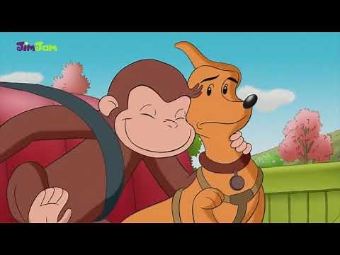 Curious George movies on JimJam!