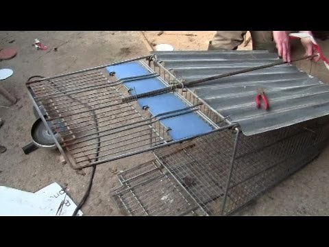 How To Make A Fox Trap From A Shopping Trolley -- And First Live Catch