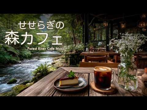 途中広告なし【カフェBGM】せせらぎの森カフェ｜作業用・読書・リラックス・cafe music