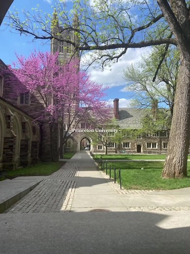 Princeton University Aesthetic Vlog | Stunning Campus & More!