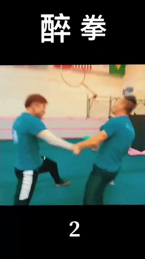 Drunken Fist fighting