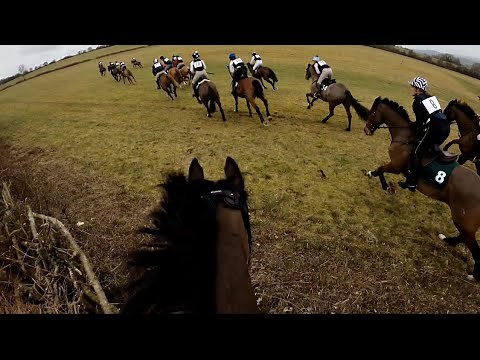 COTSWOLD SCURRY 2023 | Our first hunt race!
