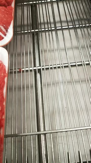 #Meatslap #Meatsmack #Slapping #Meat #Smacking #groundbeef