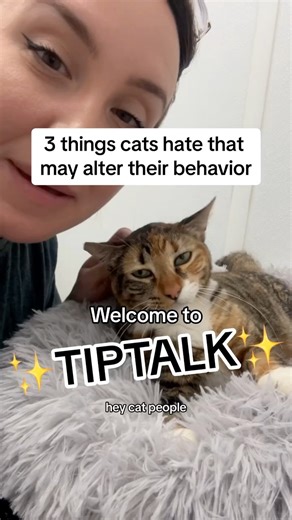 19K views · 751 reactions | Cats are complex, here are more tips for cat owners that are good to know! #catownertips #tiptalk #cattips #cathelp #thingscatshate #3things #themoreyouknow #catbehavior | The Cattery Cat Shelter | Facebook