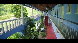 13K views · 70 shares | Today we go behind the scenes at Jamaica Inn...