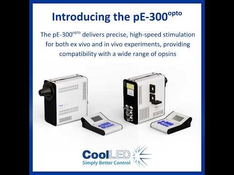 Introducing the pE-300opto - LED Illumination for Optogenetics