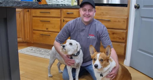 Make your Best Friend a Homemade Treat with these "Pup"cakes