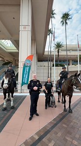 No matter if you’re rooting for NC State University Wolfpack or University of Memphis Tigers, we’re here to keep you safe during the Gasparilla Bowl! Remember, if you see something, say something. Alert the nearest officer, call 911, or our non-emergency line at 813-231-6130. | Tampa Police Department