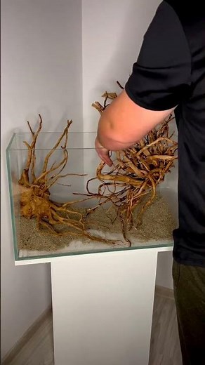 Aquascaping Set-Up Using Tetra Substrates