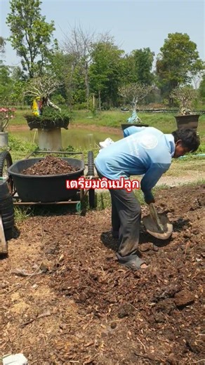 อยู่คนเดียวทำคนเดียว #วิถีชาวบ้าน #bonsai#adenium #farming101 #เกษตรอินทรีย์ #คติเตือนใจ #คำคม