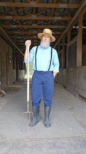 Am I new order, or old order Amish? #AmishGoneWild #DontTellTheBishop | Don't Tell the Bishop