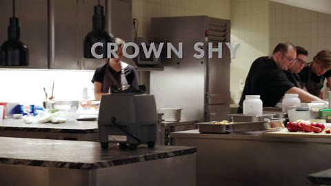 Every Job in a Michelin-Starred Kitchen