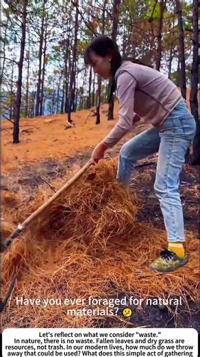 Harvesting the Forest Floor: Gathering Wild Grass 🌳🌿