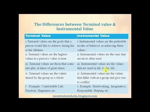Difference between Terminal and Instrumental Values