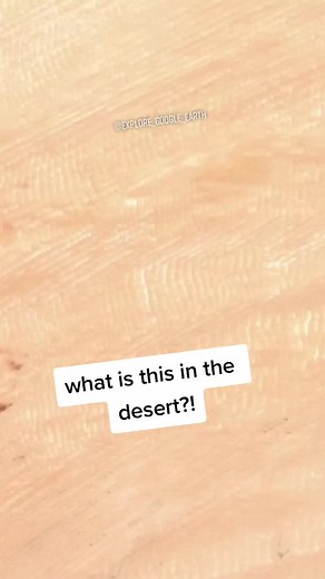 #googlemaps #exploregoogleearth #google_earth #googleearth #streetview #googlemapsfun #foryoupage #desert