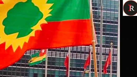 294K views · 24K reactions | news Oduu Owwiitu ibsa bbc news free oromo | Jirra Oromo Media | Facebook