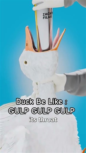 duck be like : gulp gulp gulp #zackdfilmsstyle #memes