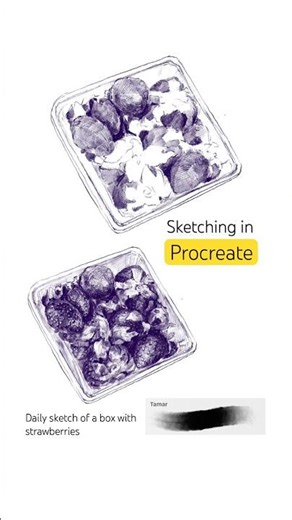 Procreate sketch of a box with strawberries. Digital daily sketch with default Procreate Tamar brush