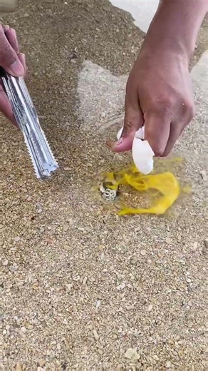Amazing Sand Experiment With Egg | Satisfying Beach Trick #shorts #fishing