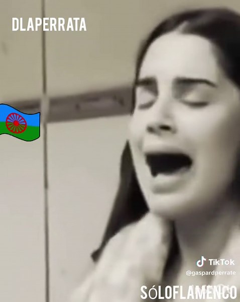 Cultura Gitana: Tradiciones y Ritmos