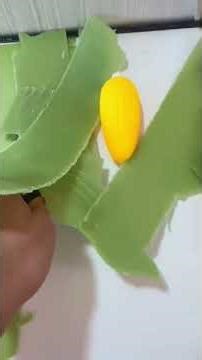 ✨ Gentle Scratching ASMR | No Talking, Pure Relaxation