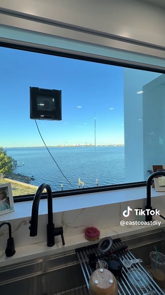 Decorating Disaster: When Birds Have Other Plans