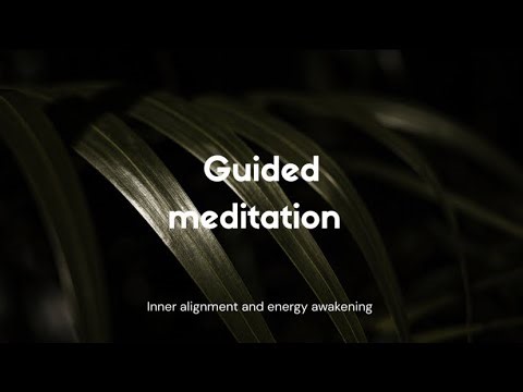 Inner alignment and energy awakening| Guided Meditation.