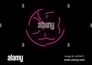 Beautiful colorful flower animation video