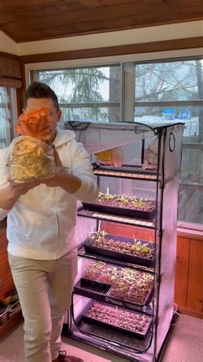 Growing 🍄🍄 mushrooms at home has never been easier! The BoomRoom is a fully automated martha tent mushroom fruiting chamber that gives you control of humidity, CO2 levels, fresh air exchange, and spore filtration. Right now, get 30% OFF with code 'BOOM30' | North Spore