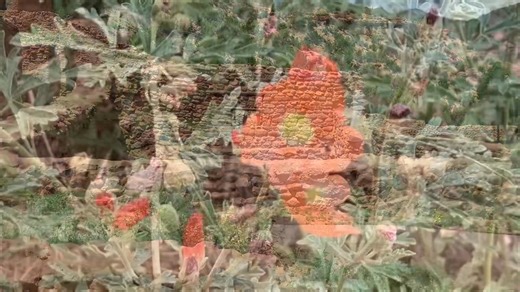 2K views · 45 reactions | The Jemez Mountains of North Central New Mexico are home to some of New Mexico's most picturesque areas. Today Paul from Sandia Mountain Natural History Center is going exploring! To watch this video on YouTube: https://youtu.be/F6cp7bShq98 | New Mexico Museum of Natural History & Science | Facebook