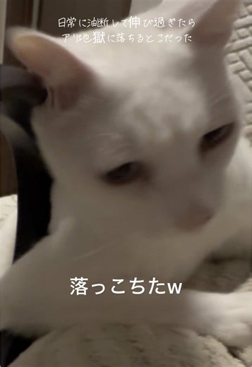 あり地獄に落ちたビーくんの日常