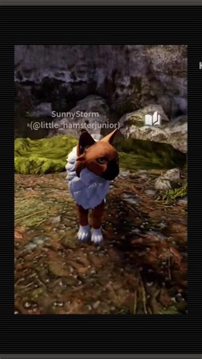 I'm running with the wolves #warriorcats #wclt #edit