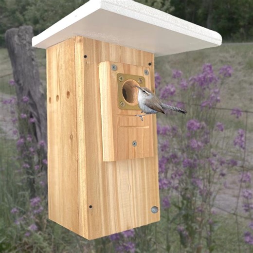Handmade Cedar Birdhouse for Nuthatches and Wrens | Predator-proof Nesting Box | Sustainable Bird Nest Box - Etsy