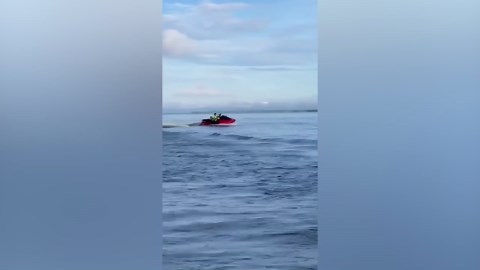 Pet dog rides on jet-ski with owner
