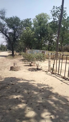 🛶🛶🛶🛶 | Mani Dhaliwal Vlog