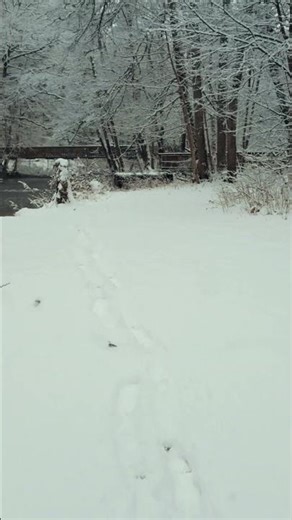 Snowy Riverside Walk in Sweden 🌨️ Peaceful Winter Ambience