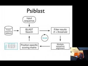 PSIBLAST