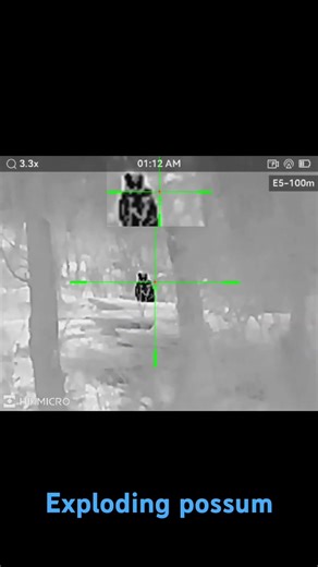 Exploding Possum with .308 #australia #possum #hunting #tasmania #thermalhunting #hikmicro