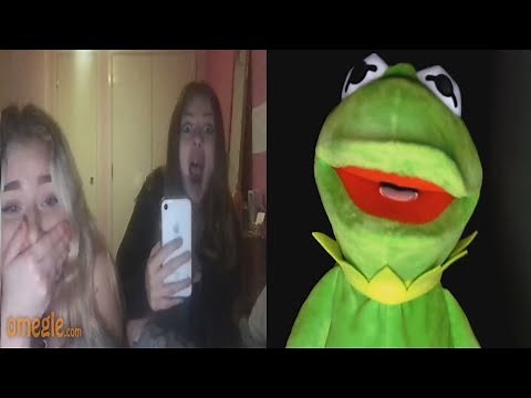 Kermit gives frog facts on Omegle