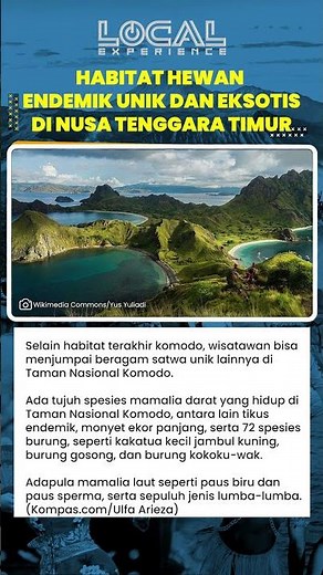 Taman Nasional Komodo Dihuni Mamalia Darat, 72 Jenis Burung, Paus Biru, Lumba lumba, hingga Dugong