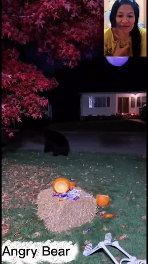 The bear ruined my halloween doll 😁🤣 #prank #comedyreels #usareels #Global #Halloween #hallowenprank #bonus #jangkauan #allfollowers | Astrid Lehalima