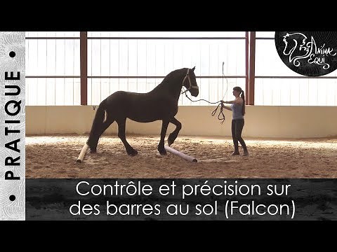 • PRATIQUE • Contrôle et précision sur des barres au sol (Falcon)