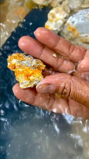 amazing Discovery 😱 penemuan bongkahan emas terbesar di dunia | the most amazing treasure discovery