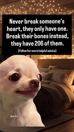 💀🤣Follow this page for more evil and hilarious memes and join the future global meme empire, before it’s too late and this page is hot and famous 😈😂 Evil Dog Merch in my Bio!⭐ #memes #evildog #relatable #diabolical #chihuahua #dark #ex | EvilDog Shamsy