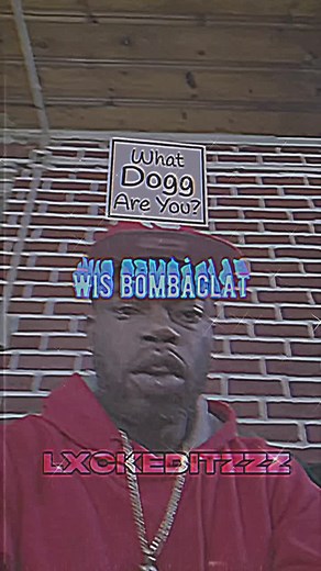 Identifying the Bombaclat Dog Challenge | Jamaican Edition