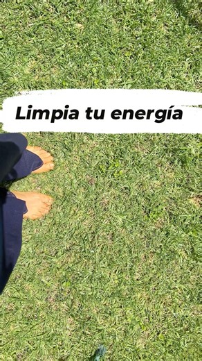 Equilibra tu campo energético, mente, emociones y cuerpo